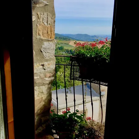 Andante Appartamenti Castelnuovo di Val di Cecina Exterior photo