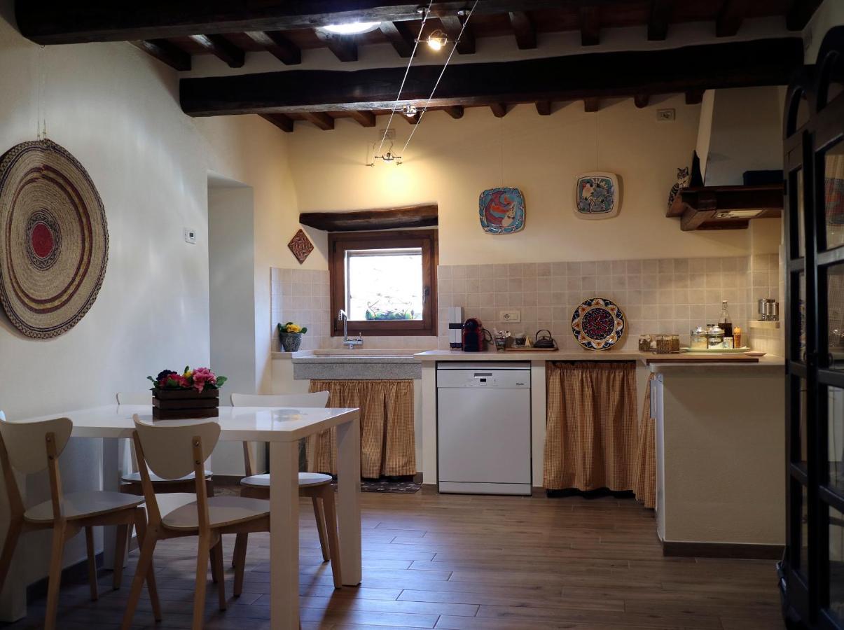 Andante Castelnuovo di Val di Cecina