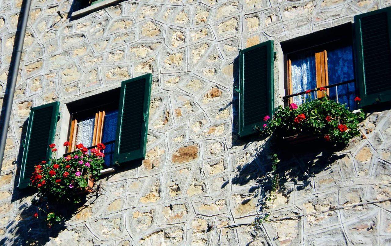 Apartment Andante