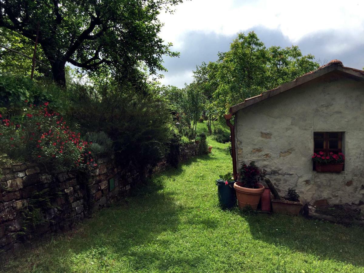 Andante Apartment