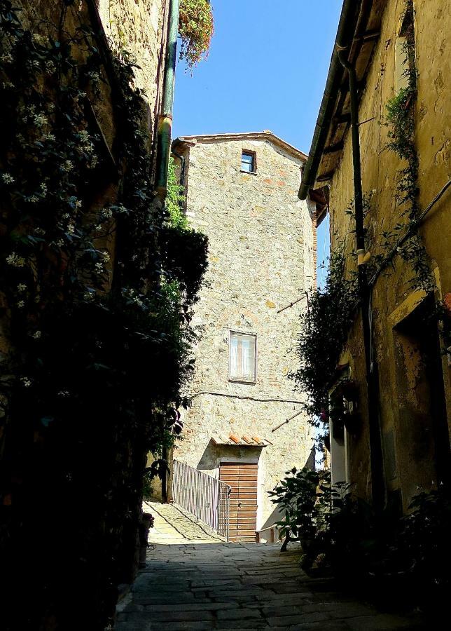 Andante Apartment Castelnuovo di Val di Cecina